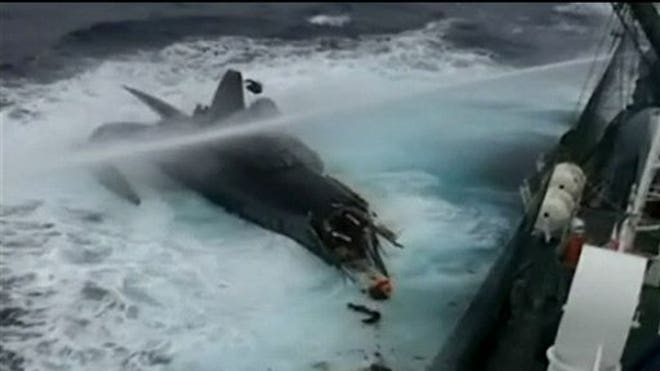 Whale Wars